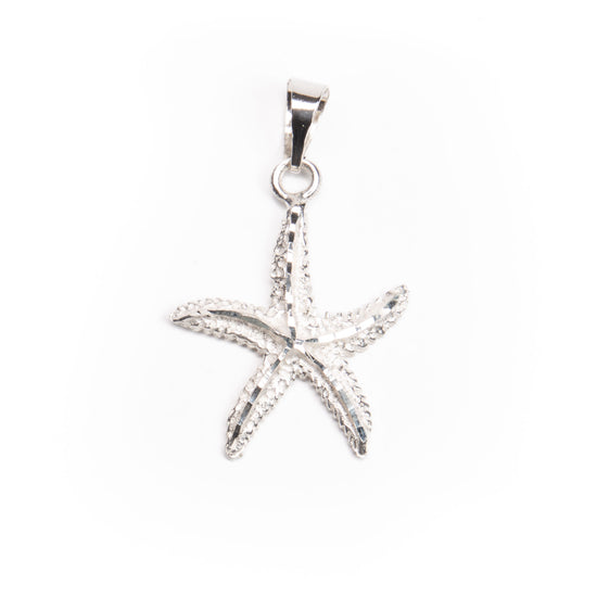 Dije estrella de Mar de plata mexicana